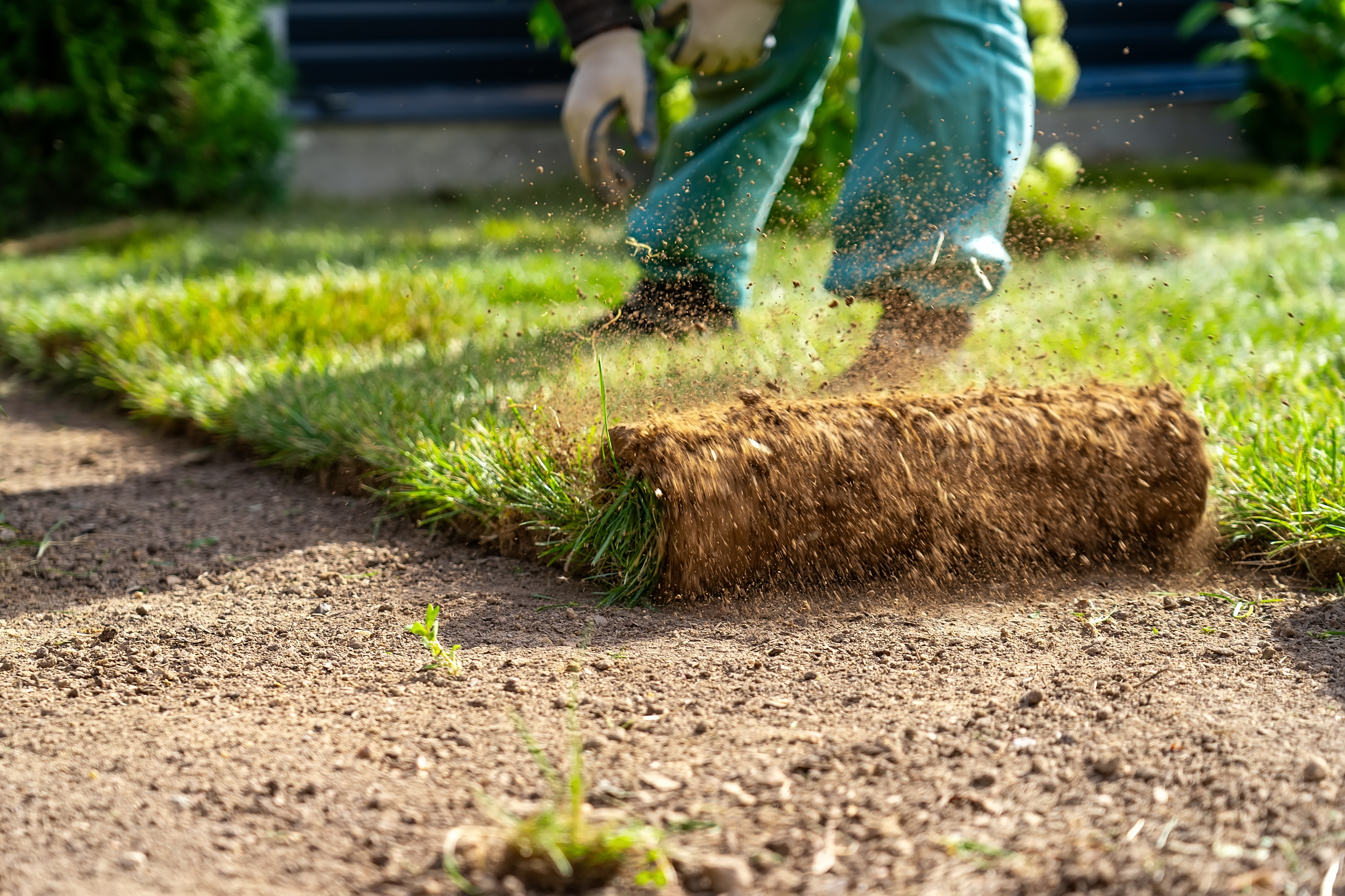 lawn_sodding_turf_maintenance